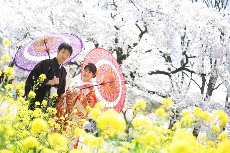 ２色のコラボ...