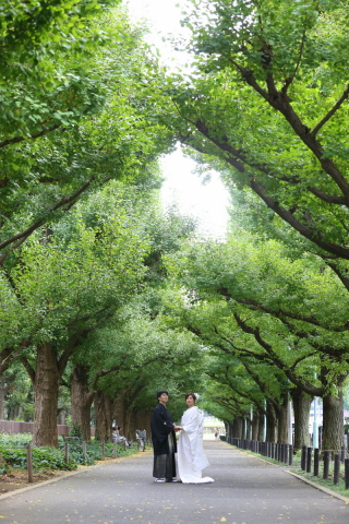 外苑銀杏並木ロケーション