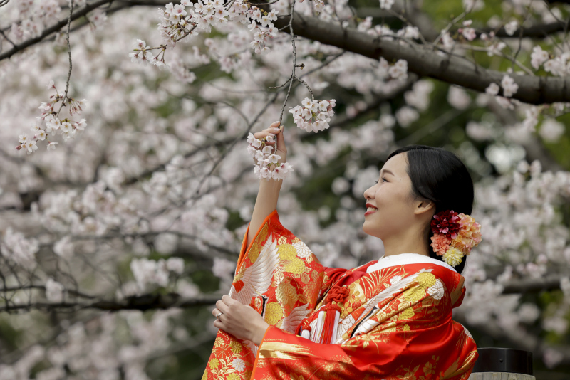 色打掛も撮影します