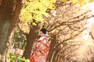 秋人気の外苑銀杏並木！