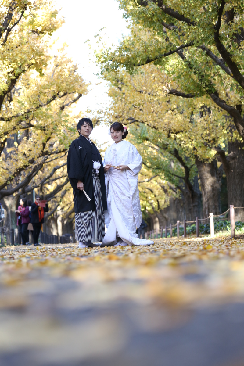 黄色に色づいた銀杏と♪