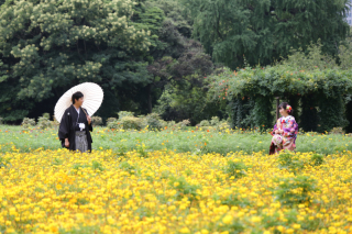 お花畑ロケーションフォト
