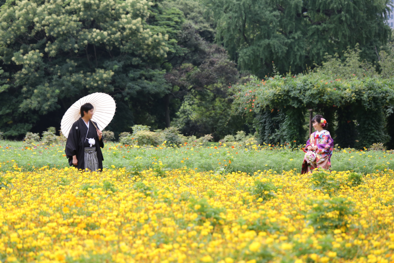 お花畑ロケーションフォト