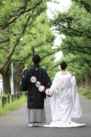 初夏の外苑銀杏並木道。