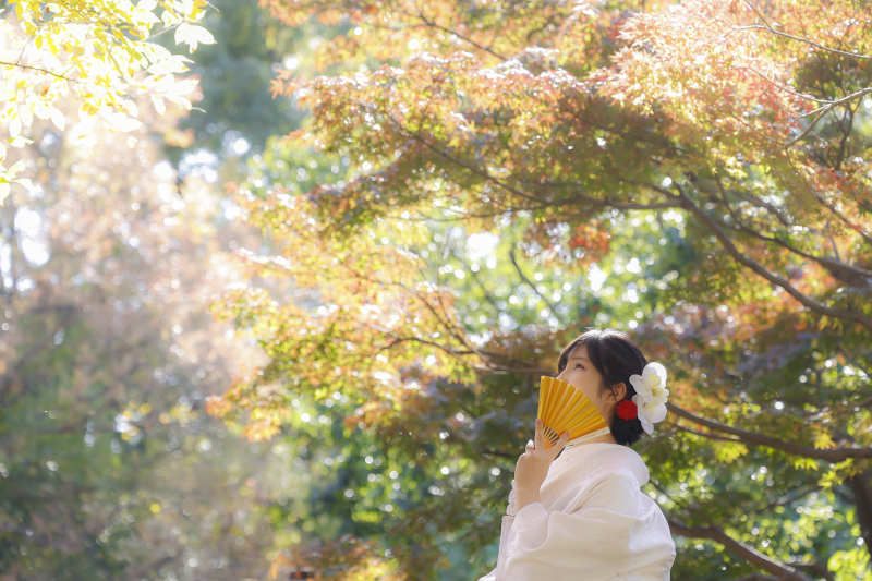 ロケーション撮影