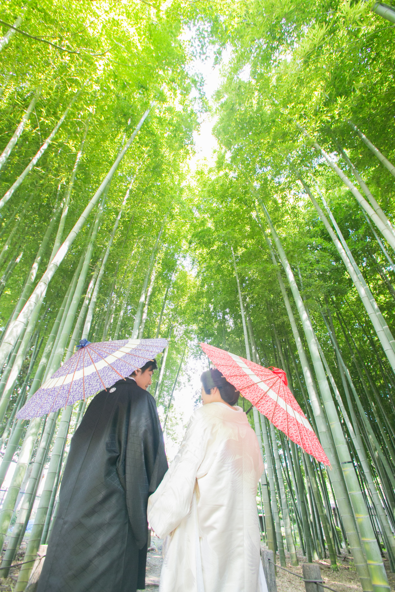 緑に囲まれて。