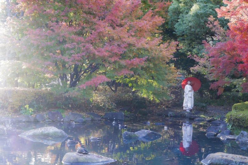 水鏡の中の花嫁