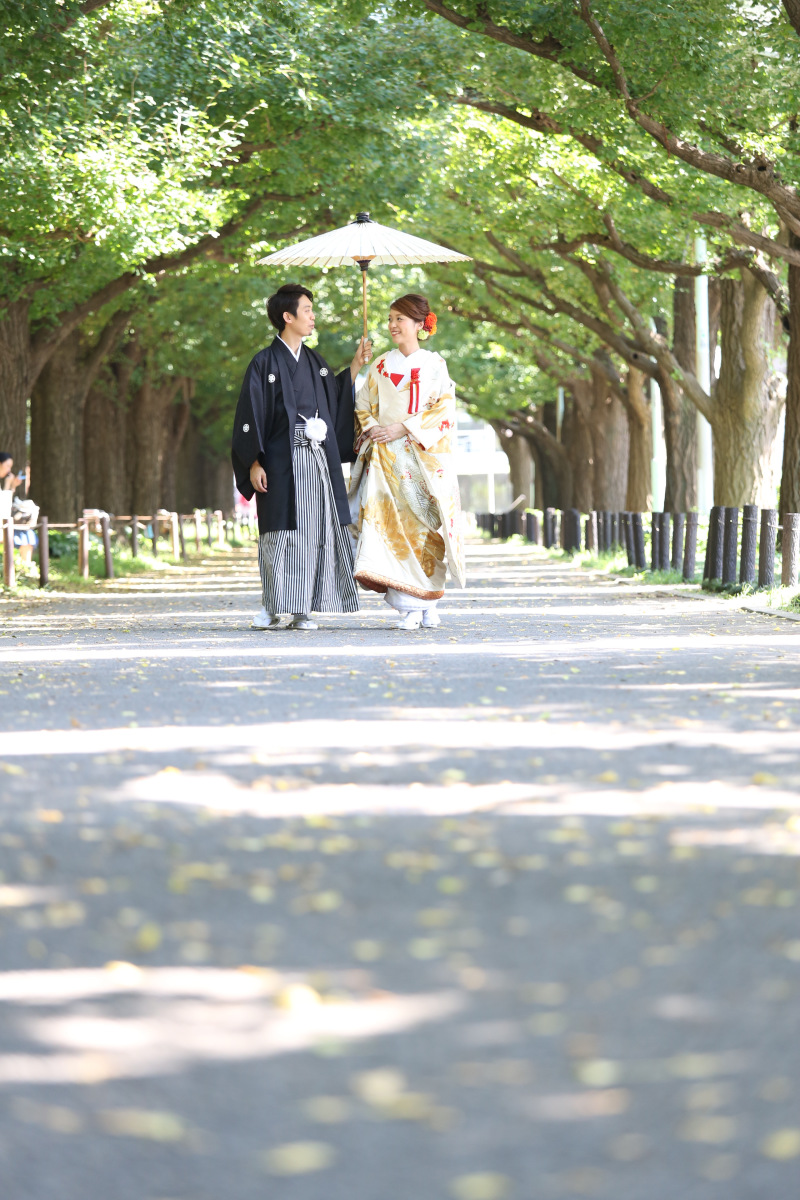緑の外苑銀杏並木にて