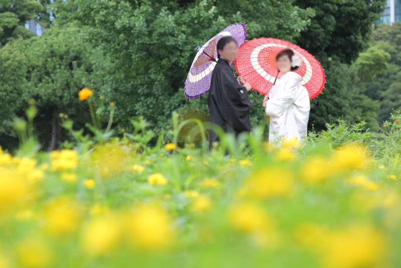 新緑に囲まれて