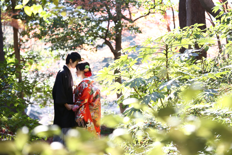 離れたところから