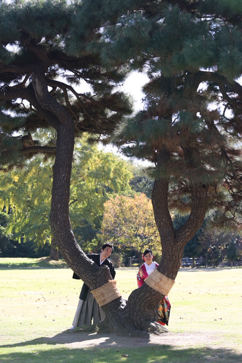 シンボルツリーで