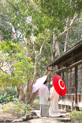 初夏のウェディングフォト