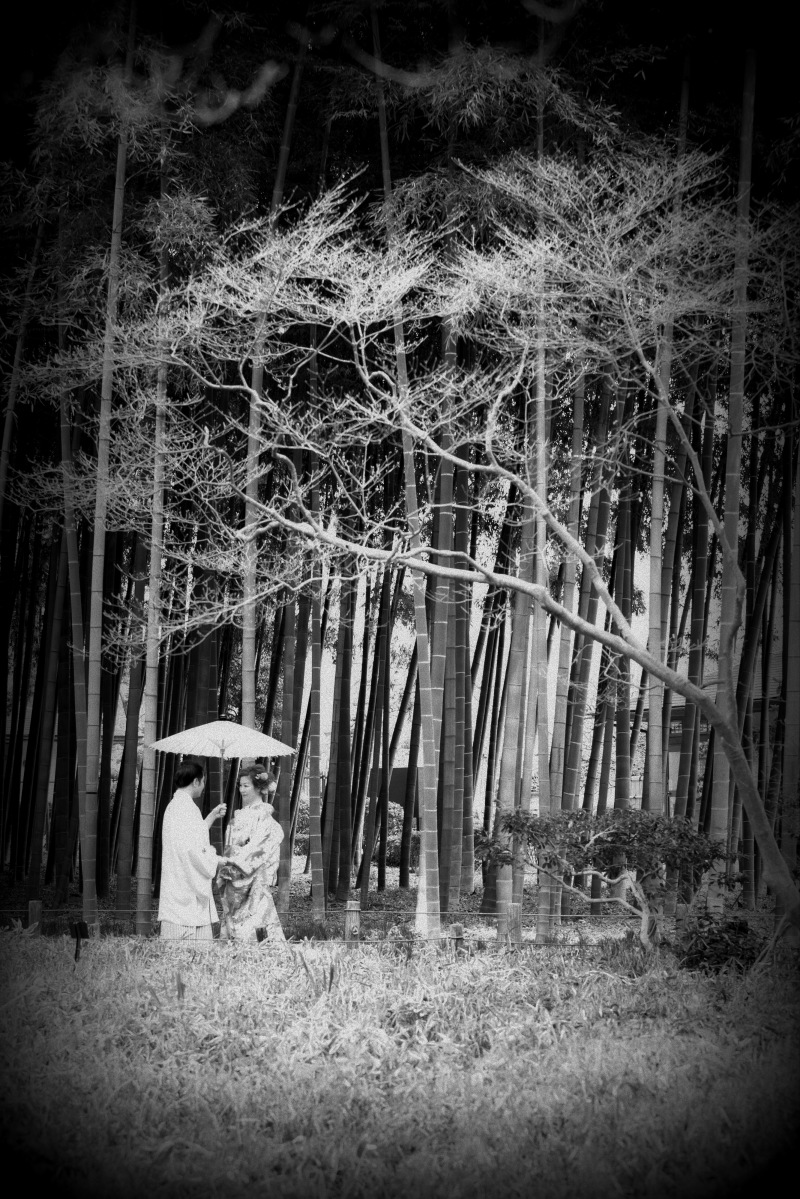 フィルムのような。