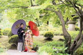 新緑の小石川後楽園