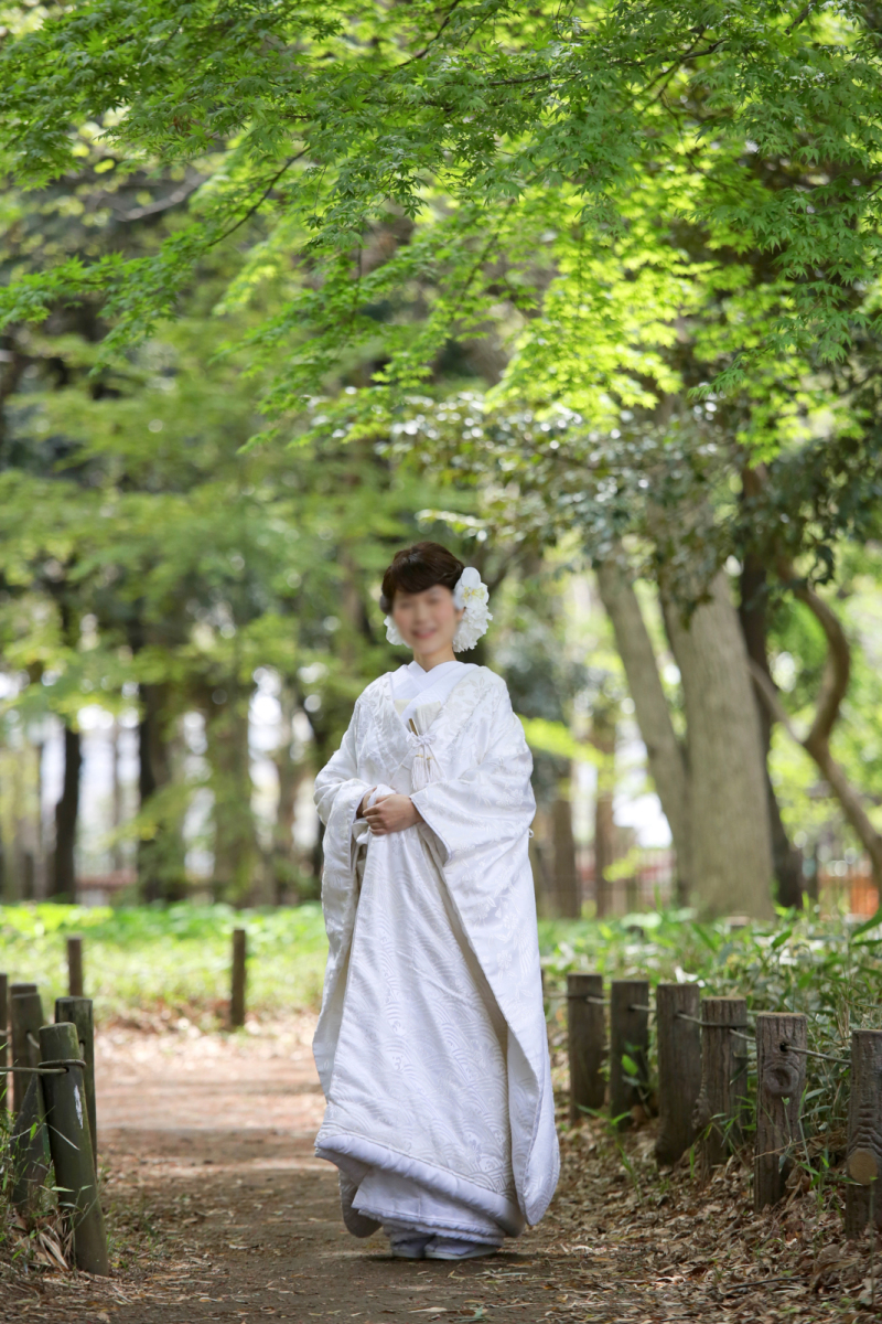 爽やかコントラスト