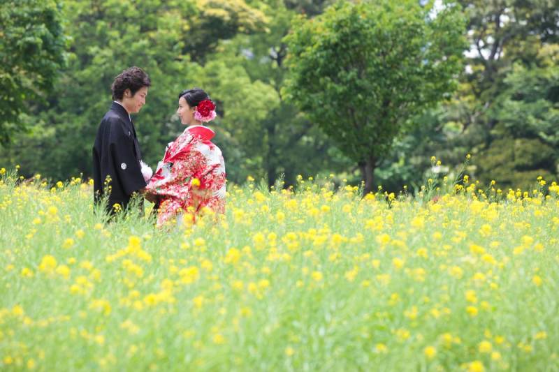 浜離宮恩賜庭園 春