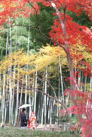 紅葉ロケーションにて。