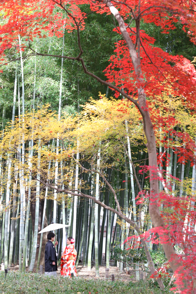 紅葉ロケーションにて。