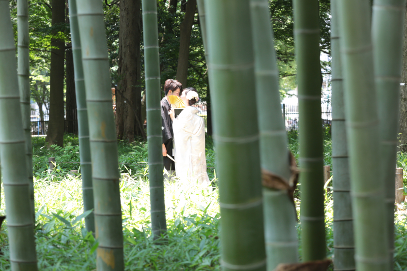 都内 竹林ロケーション。