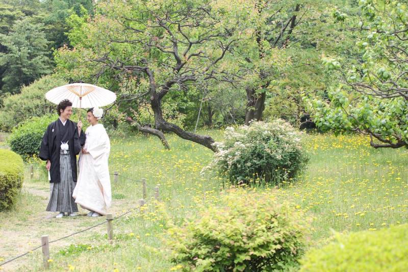春の浜離宮庭園へ