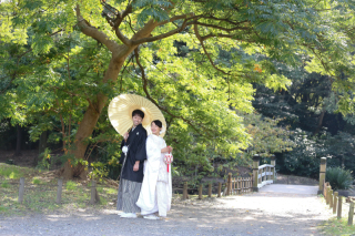 優しい緑に囲まれて。