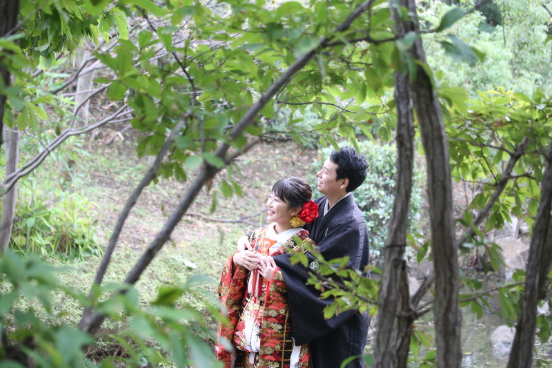 綺麗な緑でした