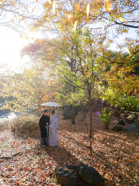 和装ロケーション