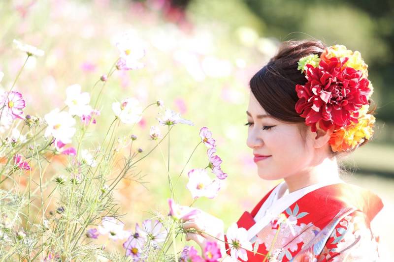 コスモスを愛でながら