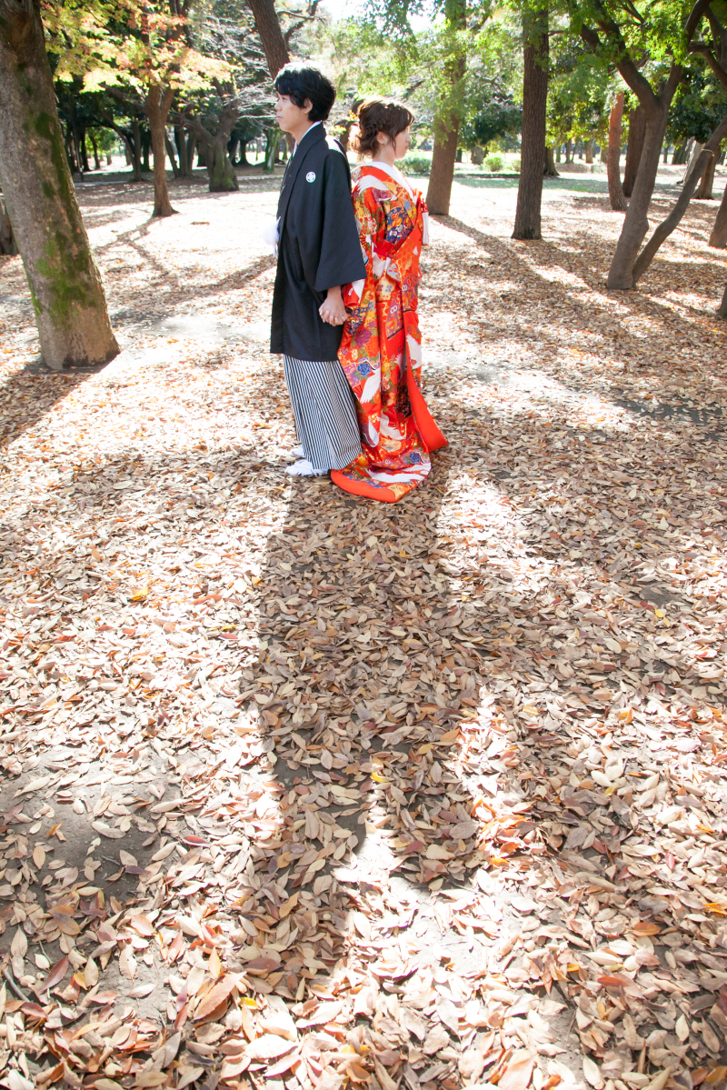 11月の代々木公園