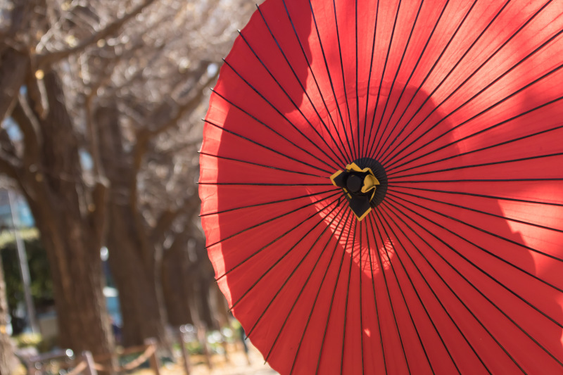 秋晴れシルエット