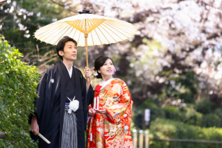 桜撮影人気プラン！