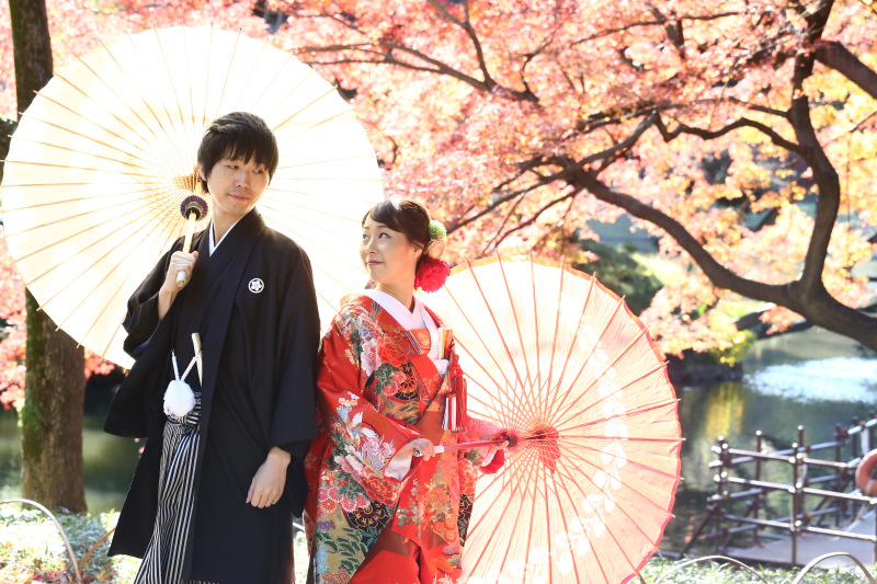 庭園人気アングル