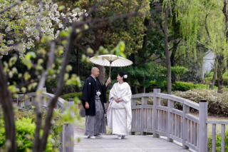 桜和装ロケーション洋装ナイトロケーション