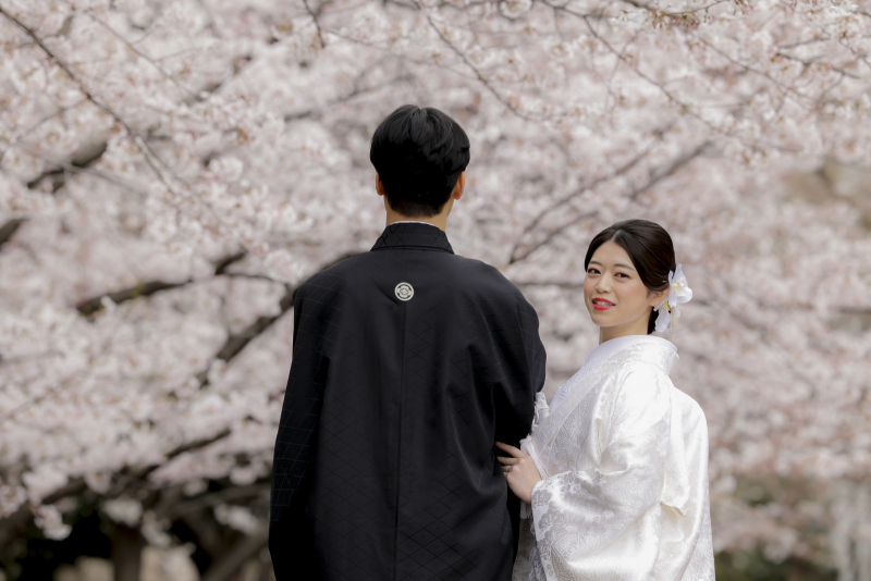 満開のさくらの中で