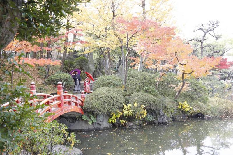 紅葉庭園撮影