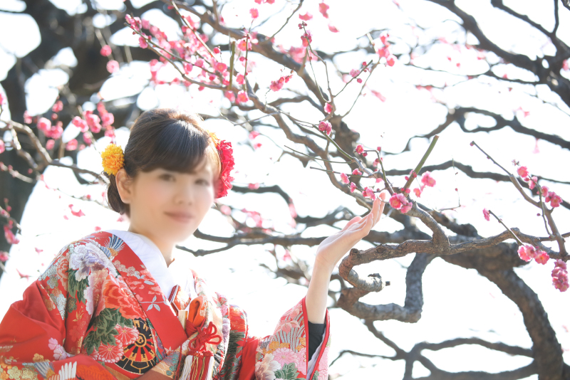 可愛い梅の花と...