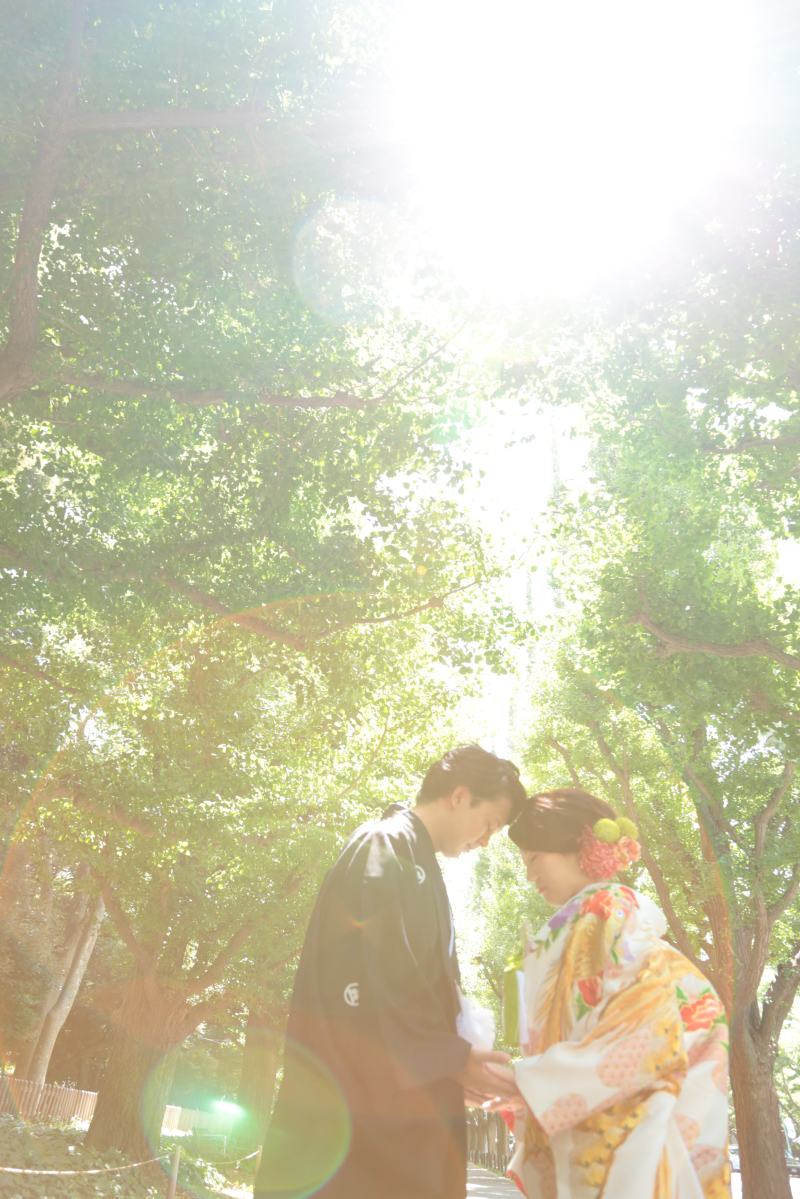 太陽いっぱい浴びて