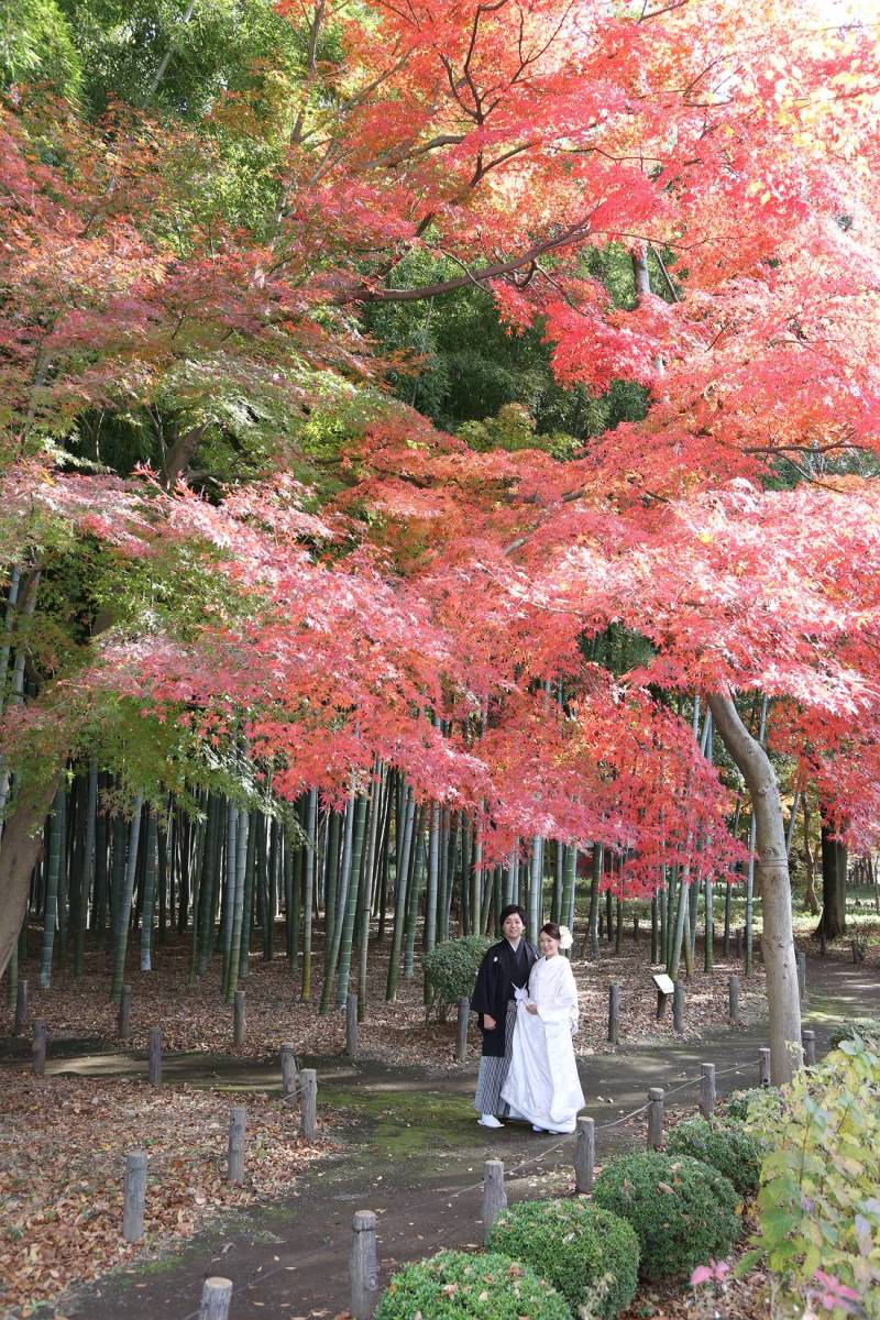 竹ともみじのMariage