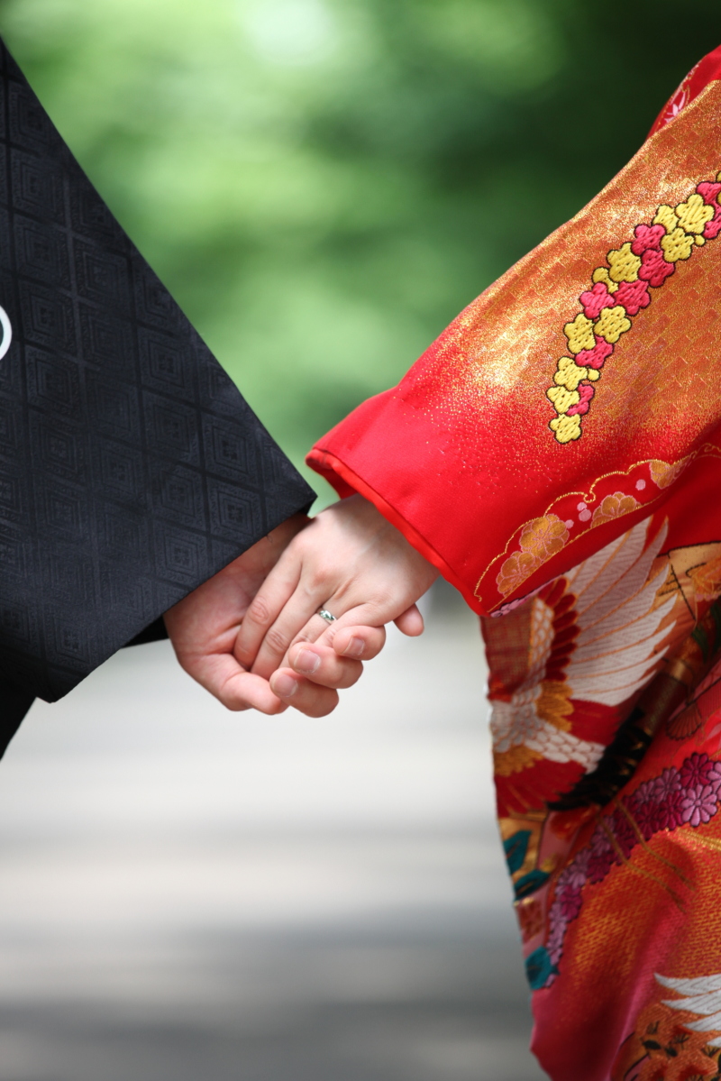 ５月のいちょう並木