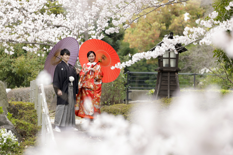 桜プラン 満開の桜とともに