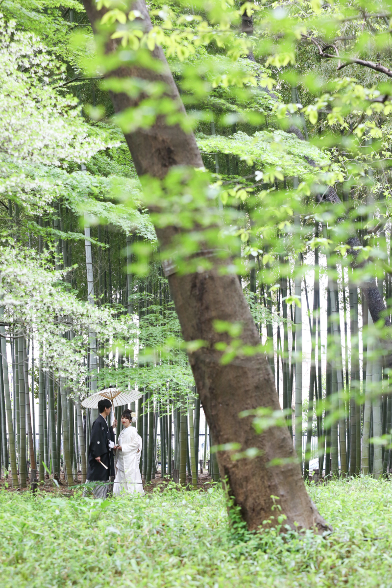 物語の中みたい。