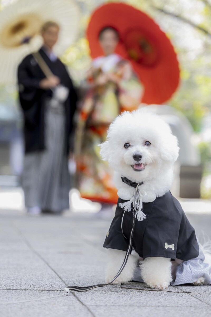 和装でも一緒に撮影出来ます