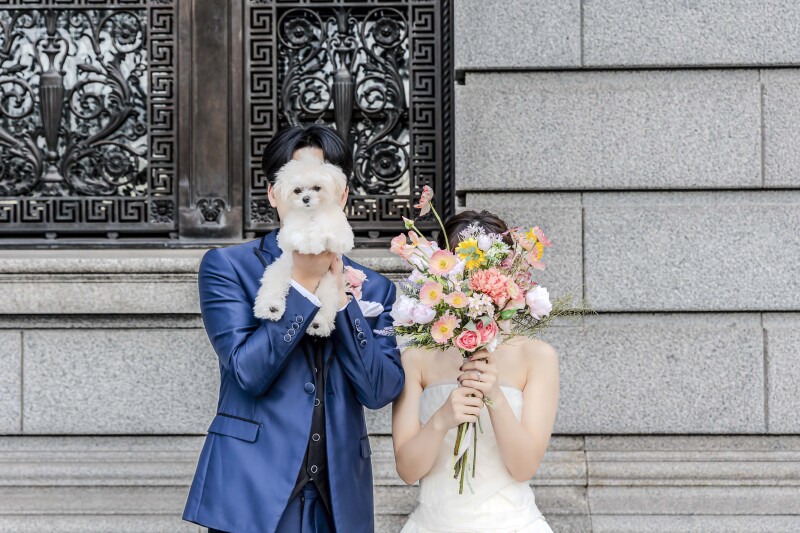 エフェット_ペットと一緒に撮影できる