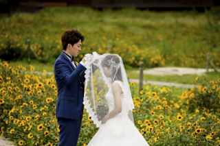 ショートベール