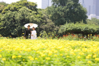 指定された庭園でのお写真掲載