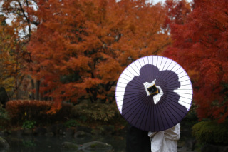 シルエットお写真掲載
