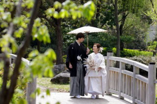 アルバム（ホワイト）