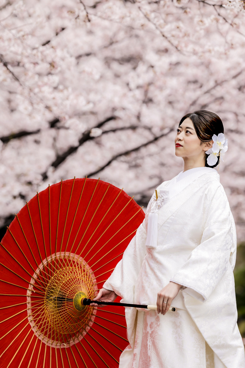 20以上ある撮影シーン