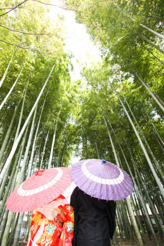 沢山の色内掛をご用意しております