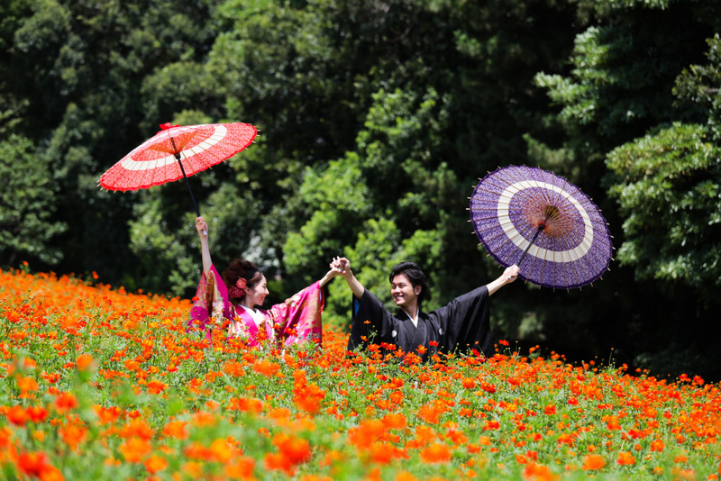 モダンなデザインの色打掛もございます